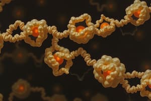 Ribosomes et leur Fonctionnalité