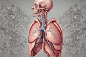 Respiratory Anatomy 1.1