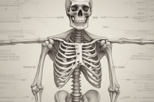 Physics of Skeleton: Bones and Functions