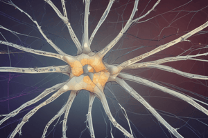 Neuron Structure and Function