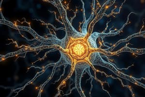 Neuroscience Chapter 1: Neurons and Connectivity