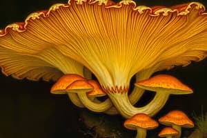 Fungi: Structure and Reproduction