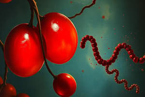 Hemoglobin và chức năng của nó