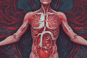 Blood Vessels in the Torso and Head