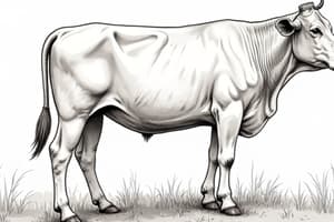 Animal Feed and Nutrition Basics
