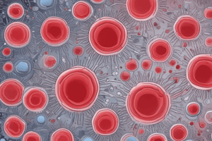 Haematopoiesis Quiz