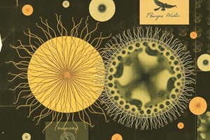 Unicellular vs Multicellular Organisms