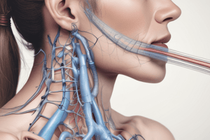 Respiratory Assessment