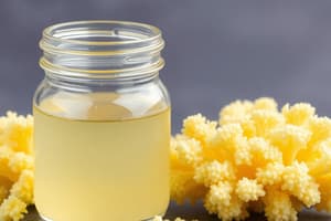 Citric Acid Fermentation Methods