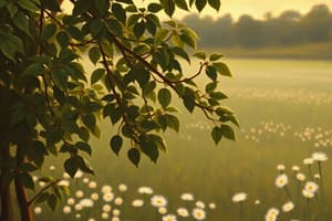 Biotecnología Agrícola con APOLO Biotech