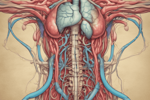 Ch14 urinary system