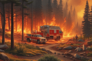 Zoning in Forest Fire Management