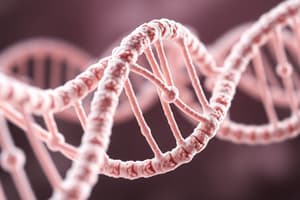 Molecular Biology: DNA Structure & Function