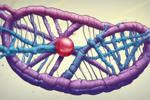 Biologie de la sénescence cellulaire