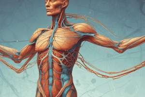 The Lymphatic System