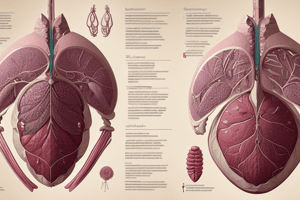 Anatomy of the Liver Matching Exercise