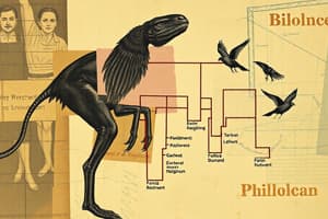 Phylogeny and Evolutionary Relationships