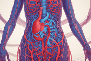 Circulatory System