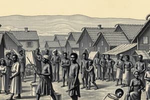 18th Century Slave Trade