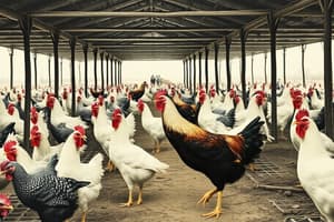 Poultry Farming: Breeds, Housing & Equipment