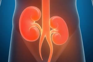 Human Excretion and Kidney Function