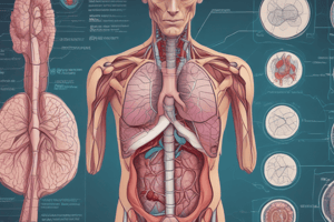 Medical Terminology Quiz