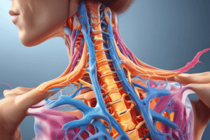 Cervical Radiculopathy and Radicular Pain Quiz