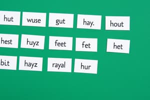 Vowel Classification and Pronunciation