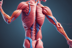 Muscle Contraction and Movement