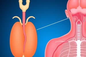 Pituitary and Hypothalamic Hormones Quiz