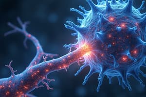 Neurotransmitter Release at the Synapse