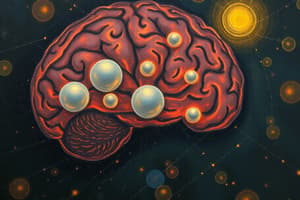 Cognitive Neuroscience Overview