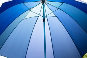 Umbrella Insurance Policy Details