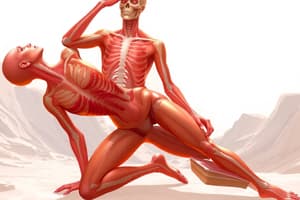 Anatomical Planes and Body Positions