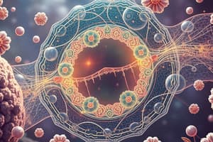 Movement Across Membranes