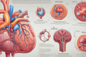 Liver Physiology: Carbohydrate Metabolism and Glucose Regulation