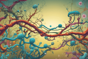 Transcription and RNA Synthesis