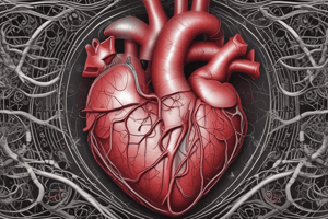 Development of the Heart Overview