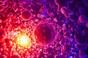 MHC Class I and CTL Immune Response