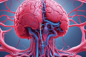 L25 Pulmonary, cutanous and cerebral circulations