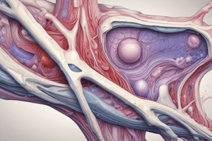 Cartilage Biology