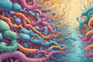 Microbiology Quiz: Antibiotic Effectiveness and Staining