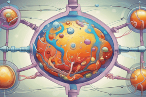 Fatty Acid Oxidation and ATP Production