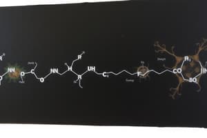 Cellular Respiration: Glycolysis, Krebs Cycle, ETC