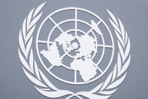 The United Nations Overview