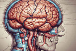 CNS Pathology: Intracranial Space-Occupying Lesions