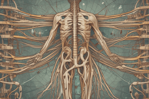 pathophys2 final: Autonomic Nervous System ppt