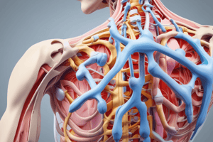 Orthopaedic Special Tests for the Shoulder