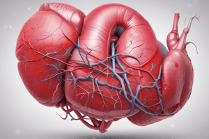 Cardiovascular Disease and Hypertension Overview