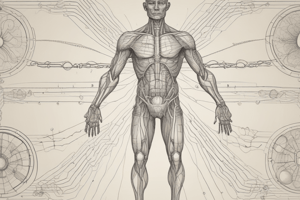 Homeostasis and Control Systems in the Human Body